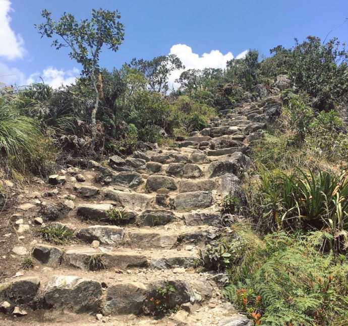 Salkantay trek day 5. Climbing Machu Picchu mountain. Steep steps