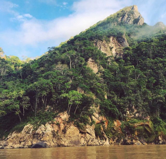 4 days Amazon jungle and pampas tour. Boat ride views into the Amazon