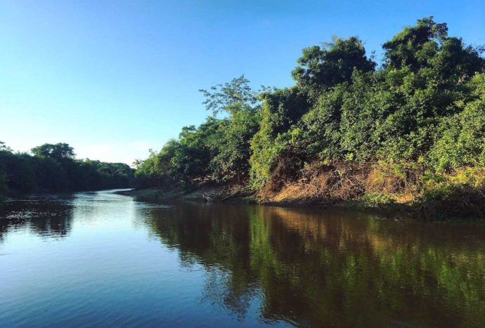 4 days Amazon jungle and pampas tour. River views in the pampas