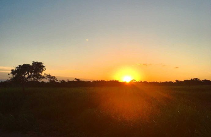 4 days Amazon jungle and pampas tour. Sunset in the pampas