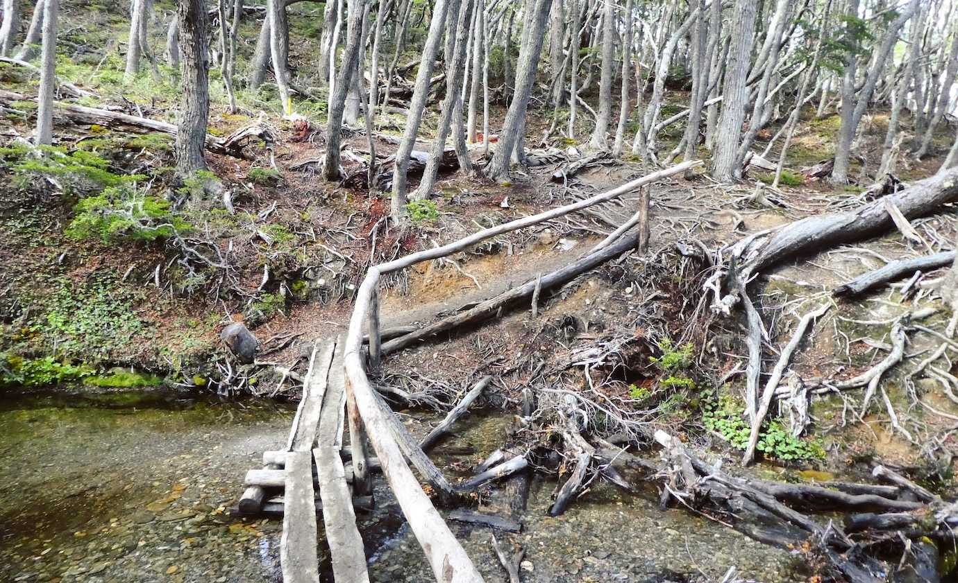 cerro guanaco trail bridge