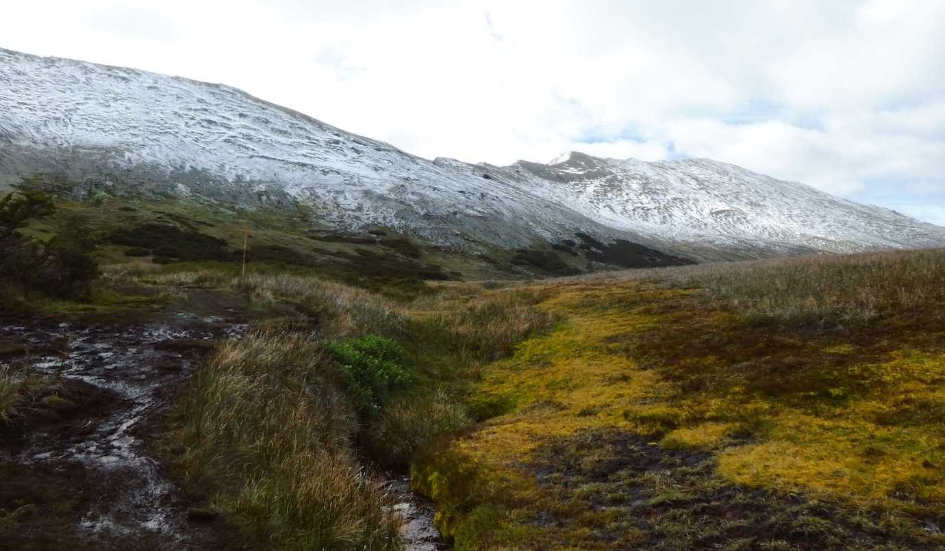 cerro guanaco walk mud fields