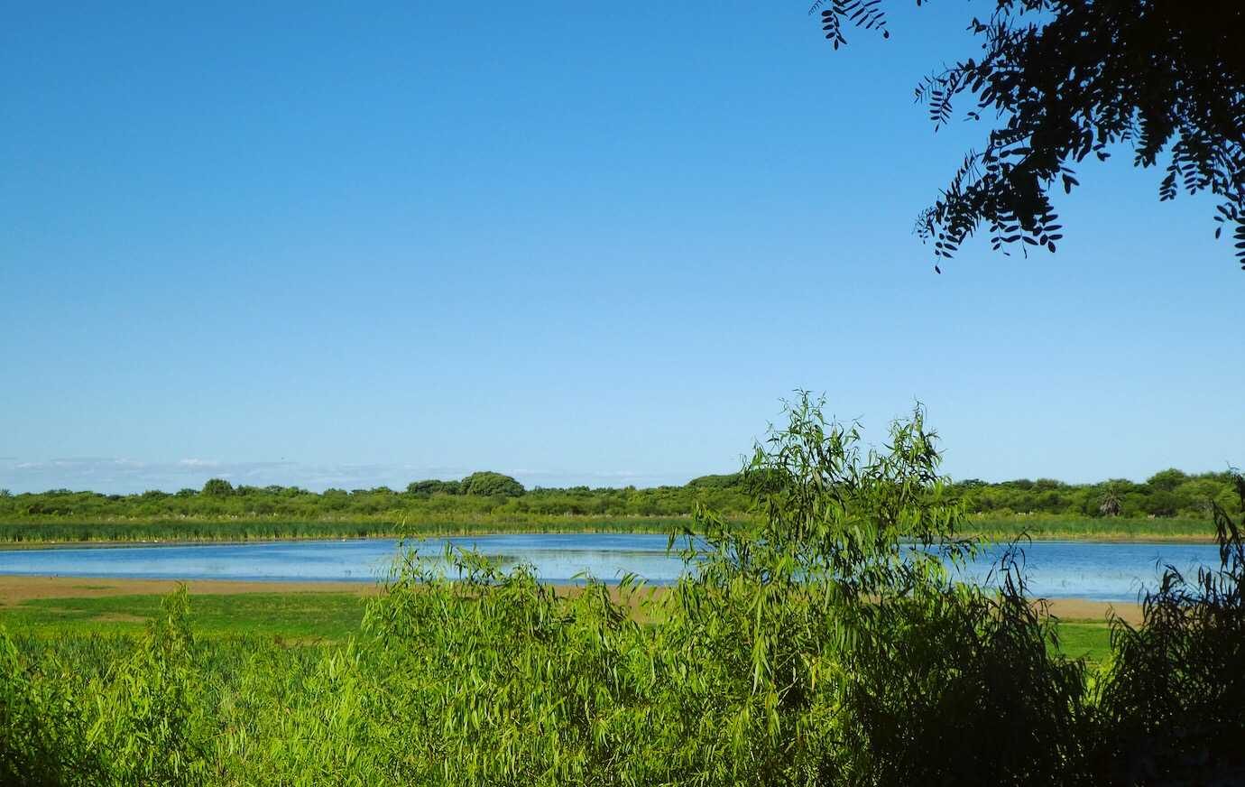 costanera sur ecological reserve