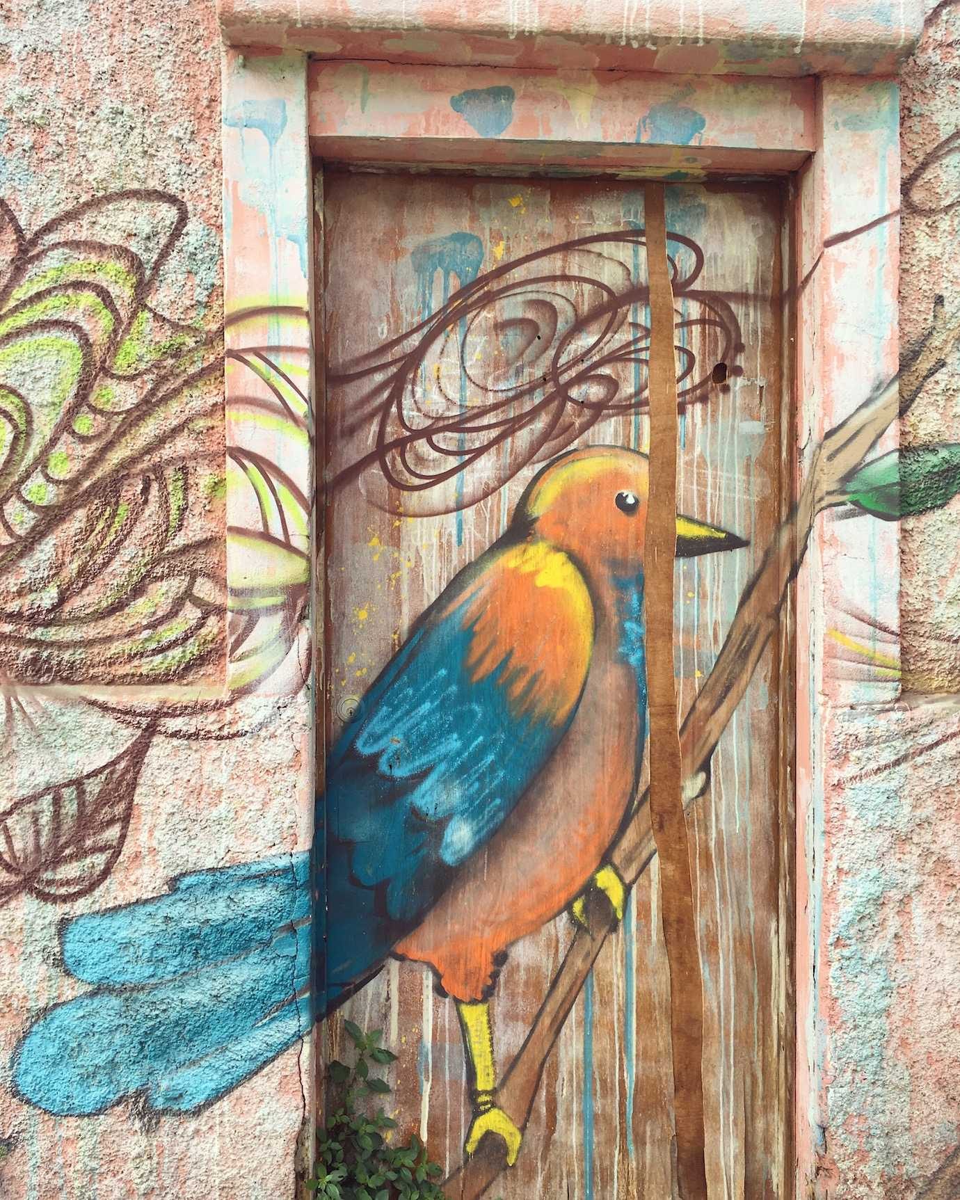 bird street art on door valparaiso