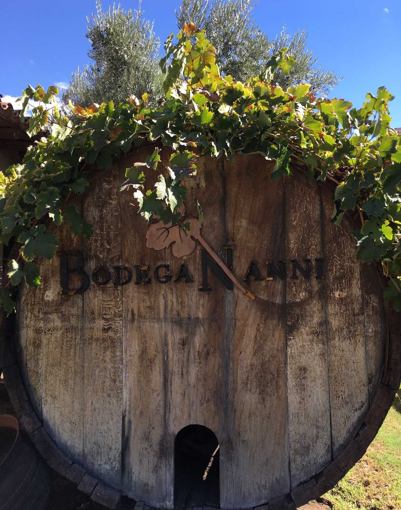 bodega nanni cafayate barrel