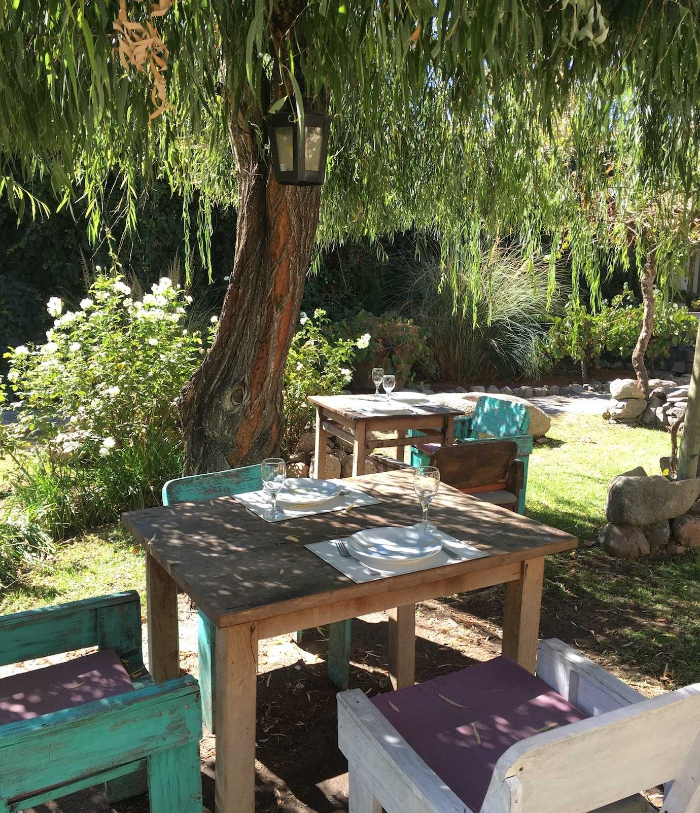 bodega nanni table cafayate