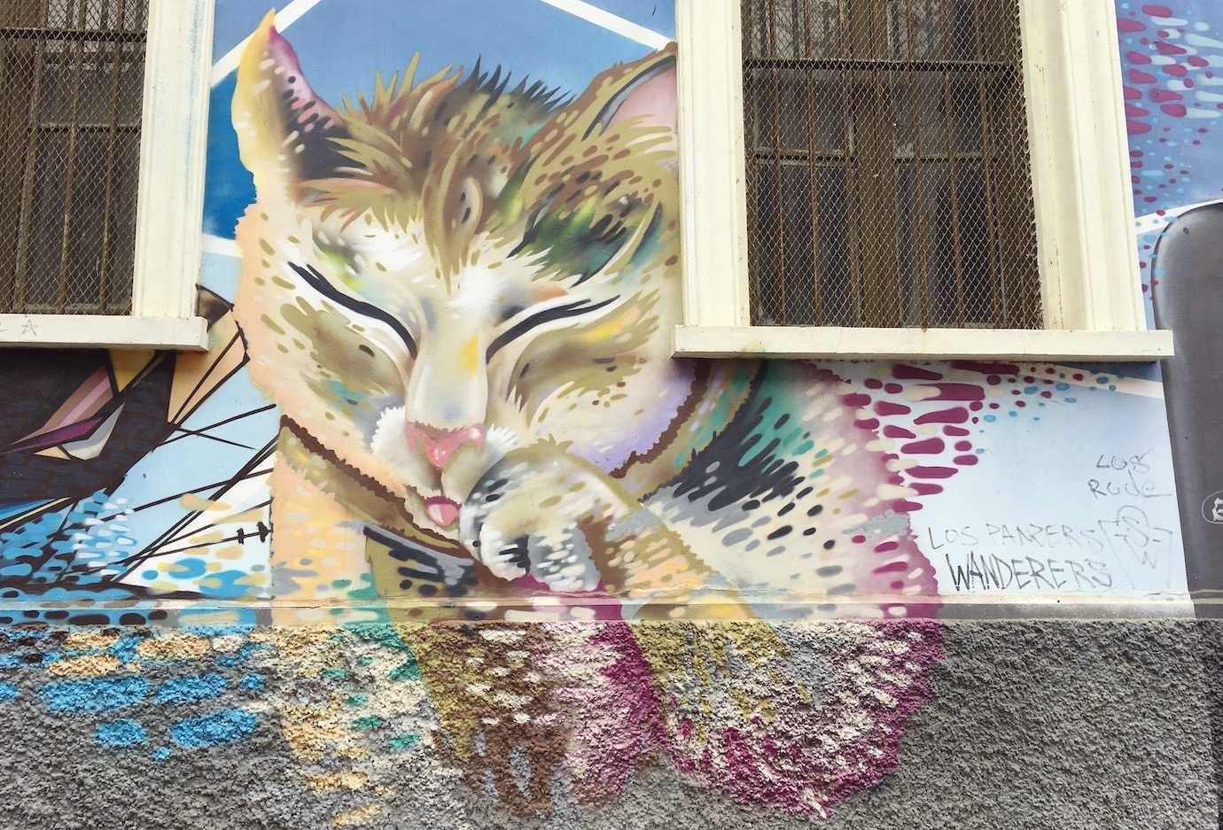 cat street art valparaiso