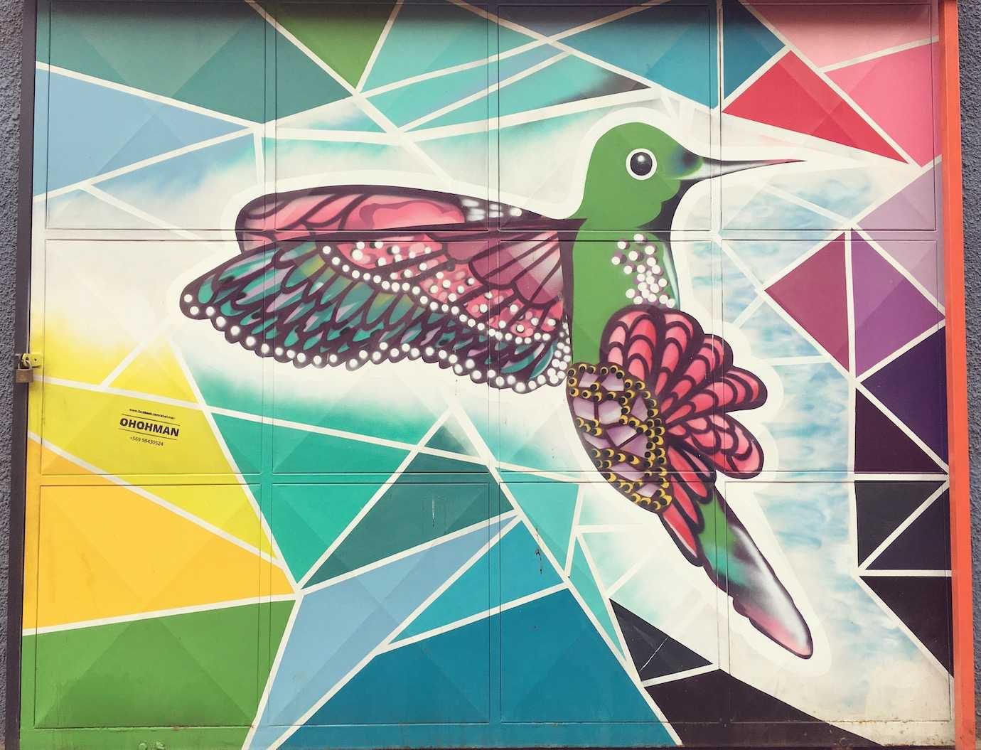 humming bird street art valparaiso