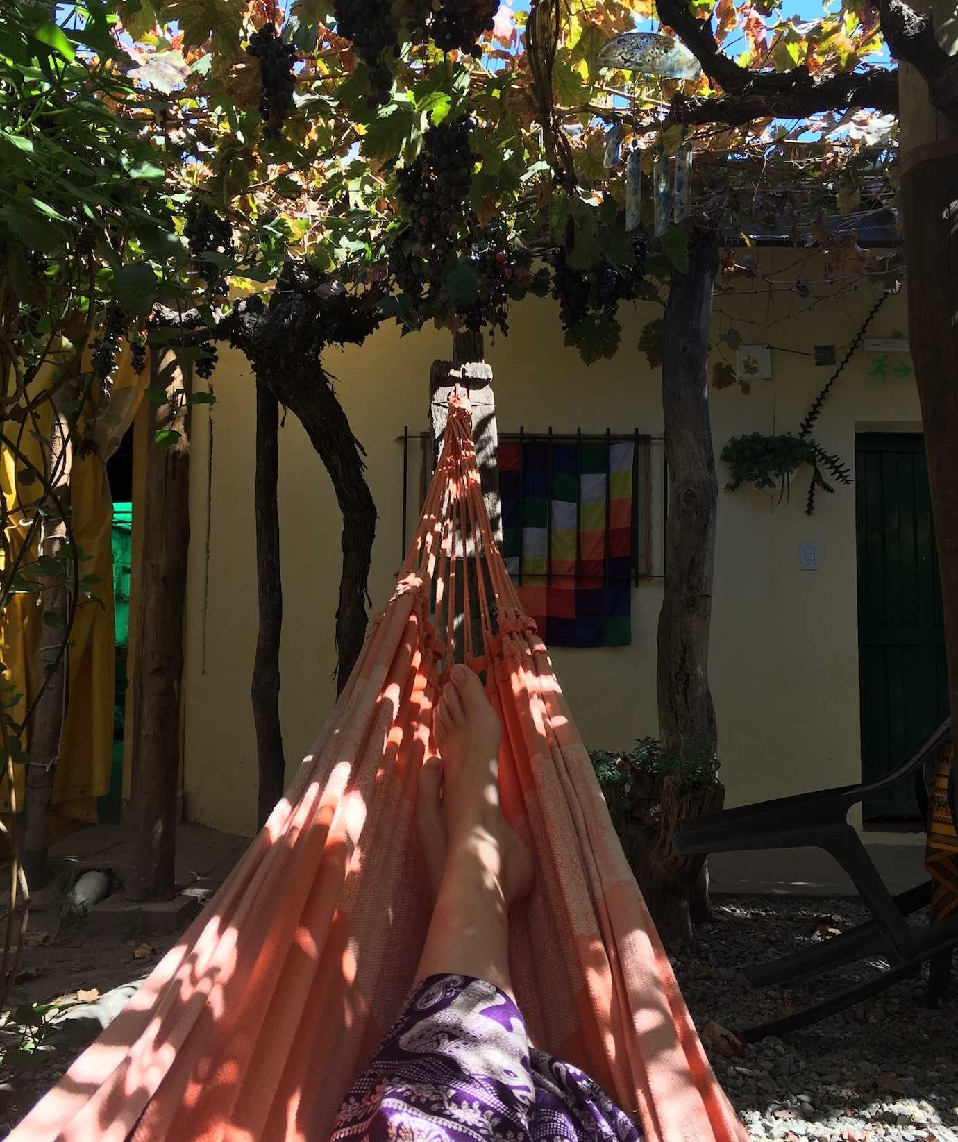 me in hammock cafayate