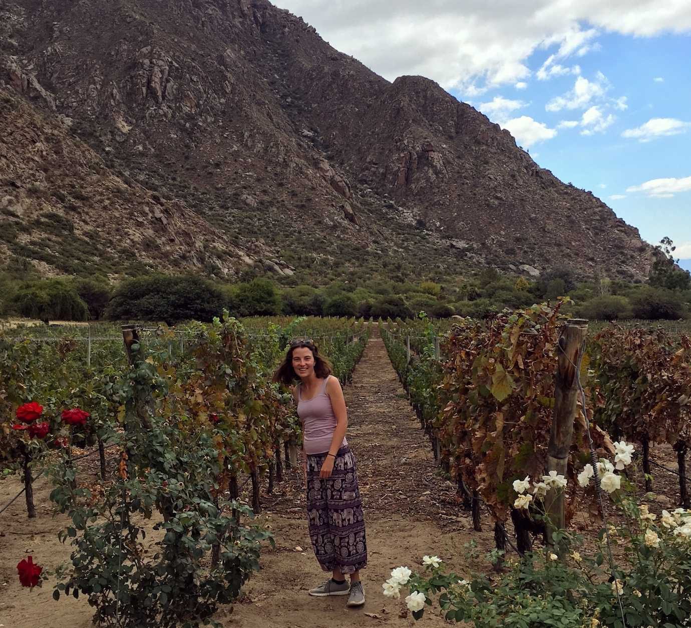 me vineyards finca las nubes cafayate