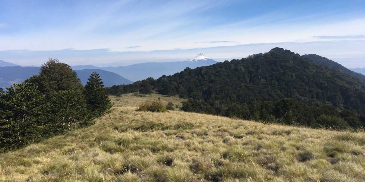 san sebastian walk pucon field and volcano Pucon