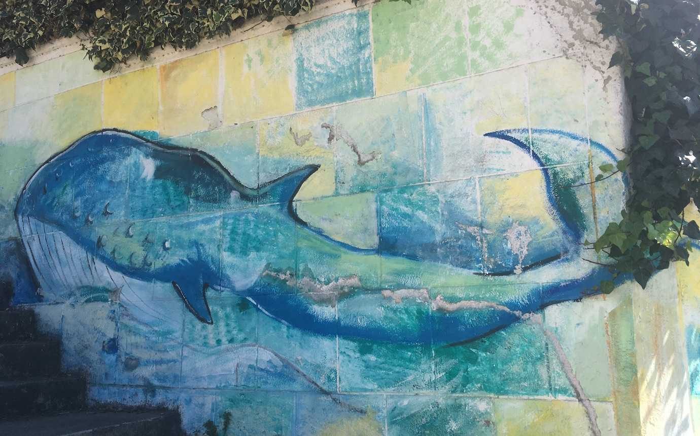 whale street art valparaiso