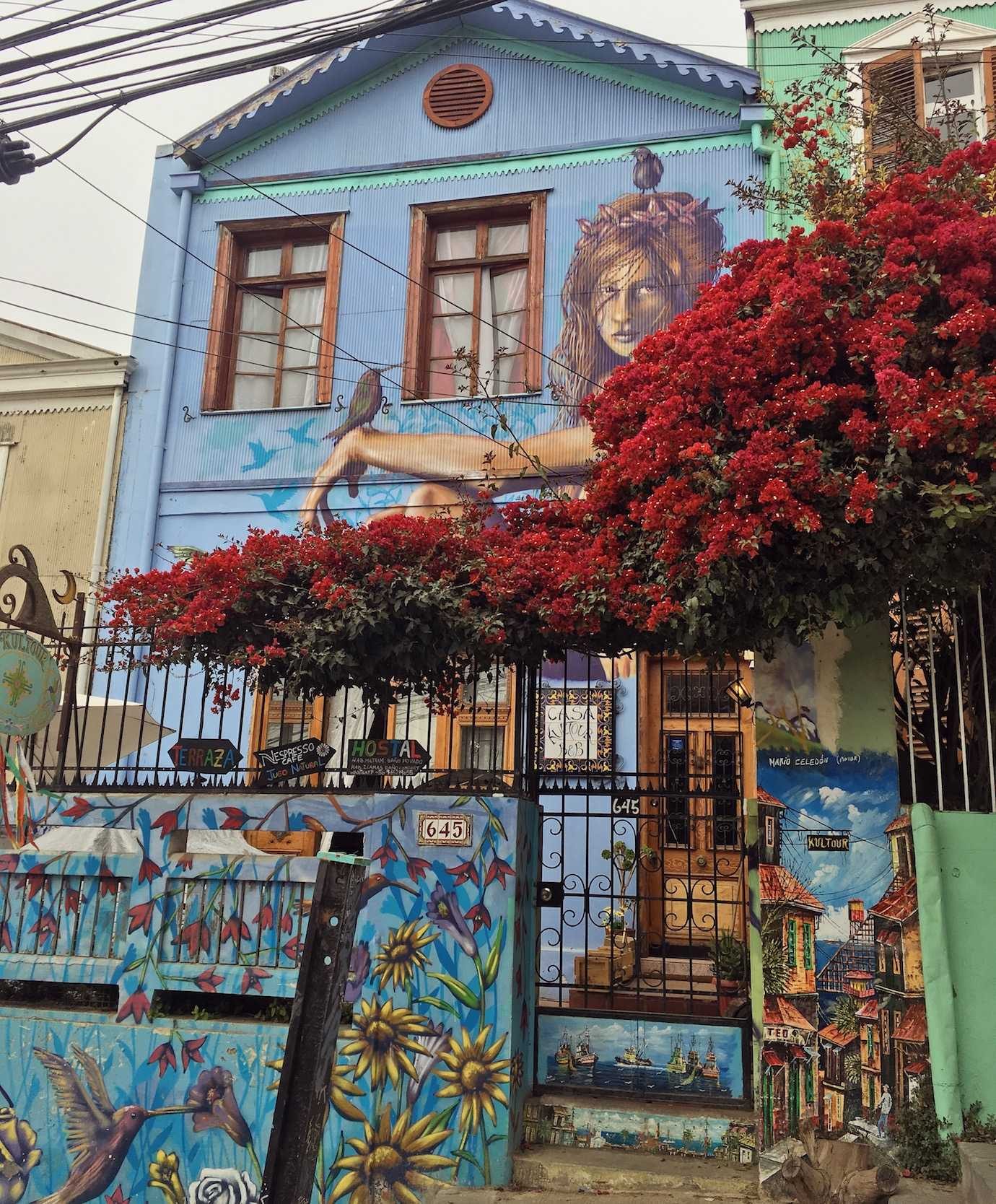 women on building red flowers street art valparaiso