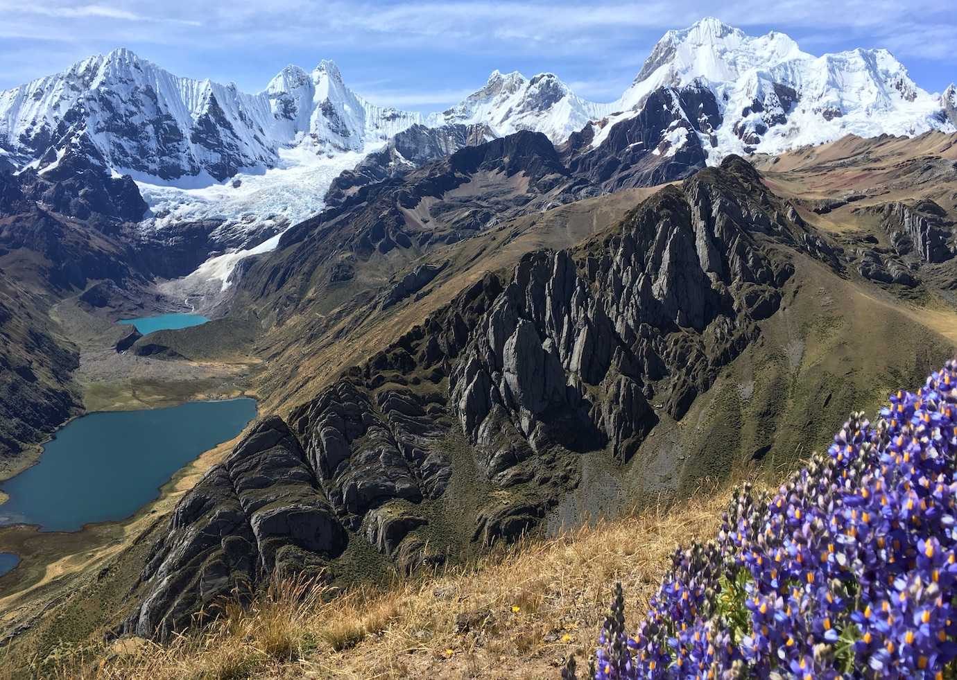 huayhuash day 7 purple flowers and views