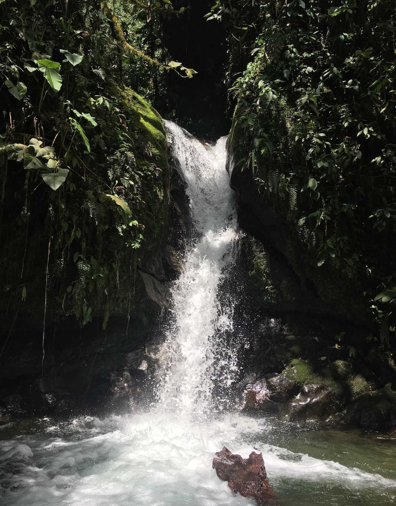 fifth waterfall nambillo sanctuary mindo