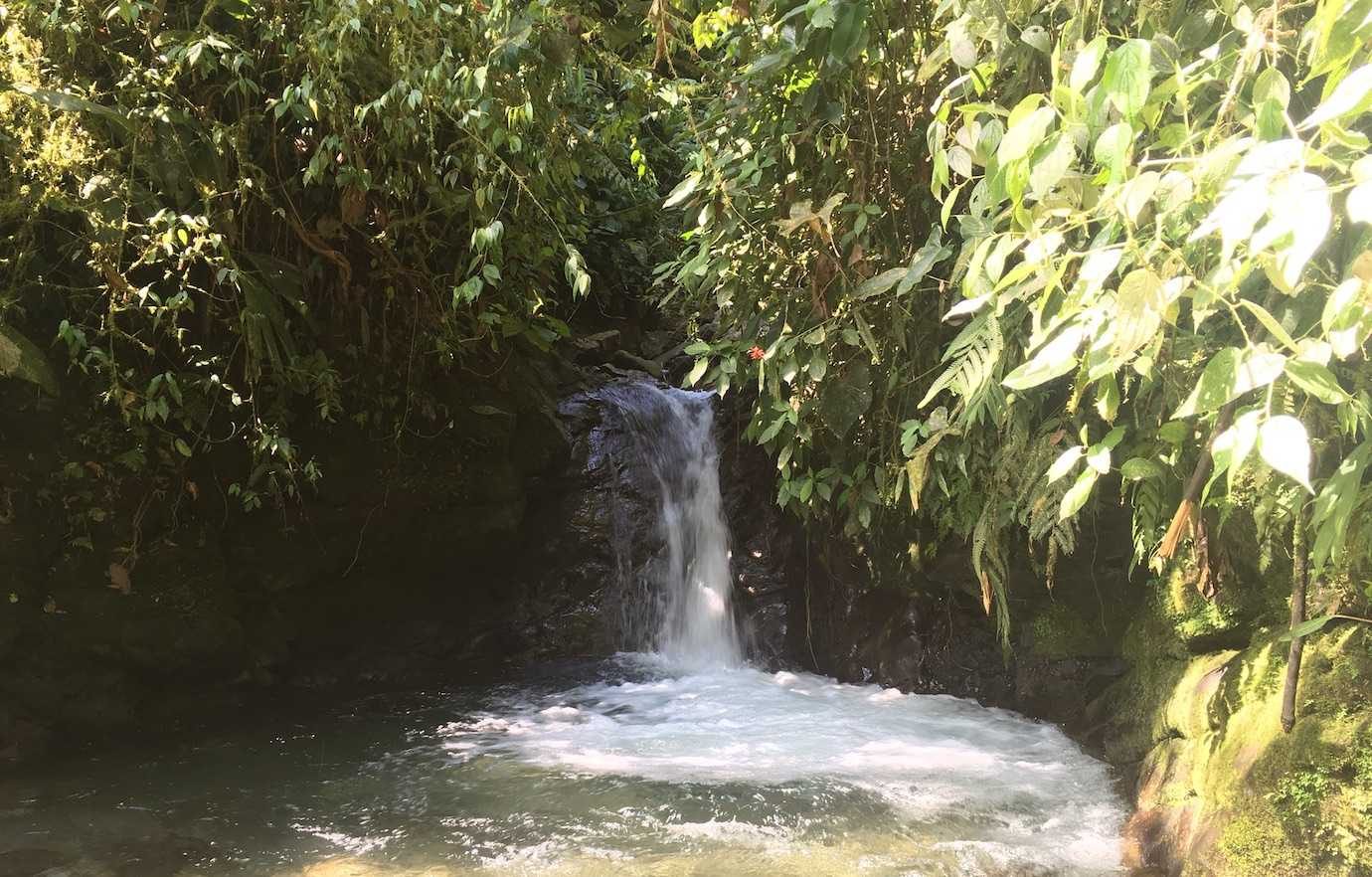 first waterfall nambillo sanctuary mindo