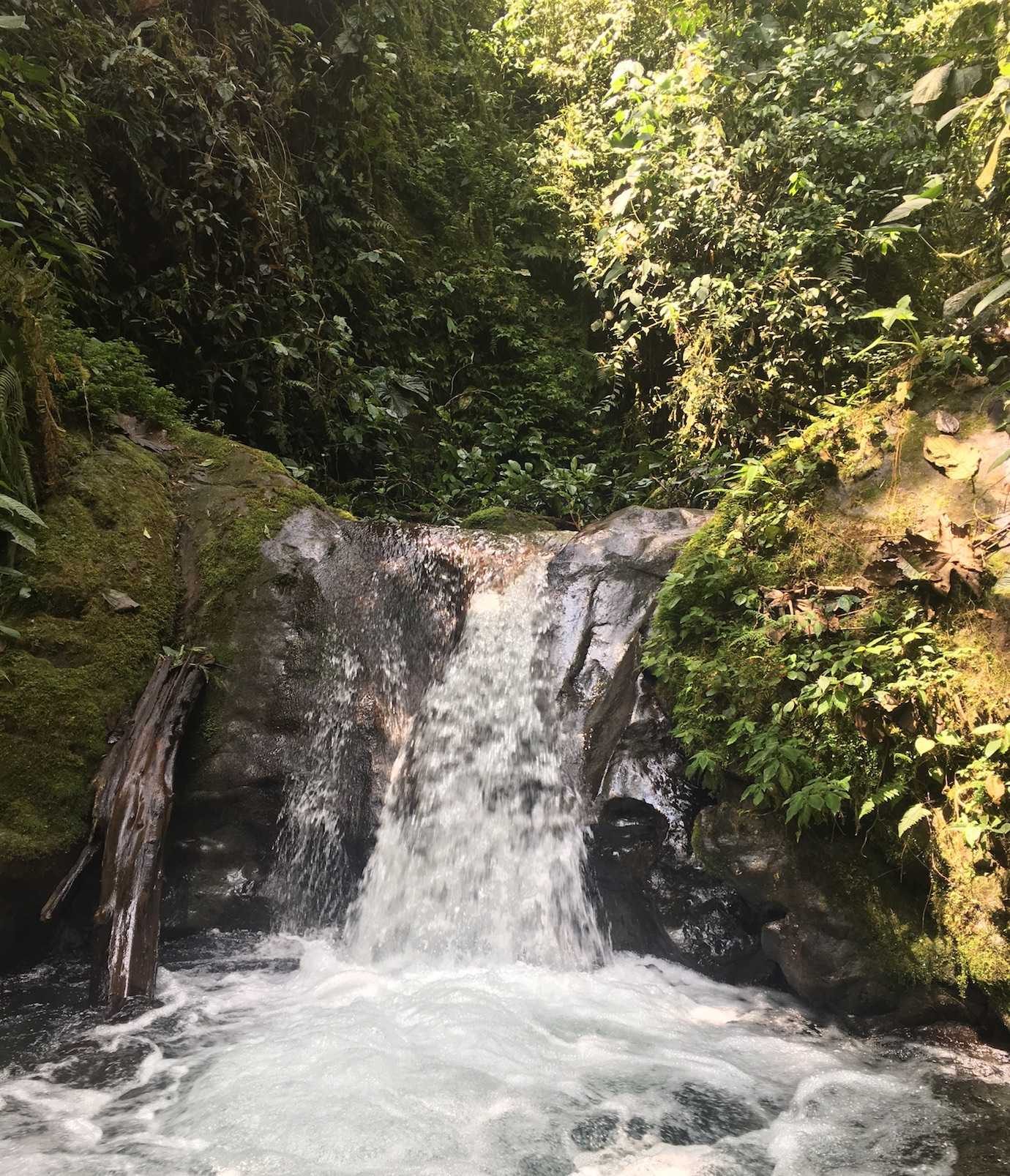 fourth waterfall nambillo sanctuary mindo