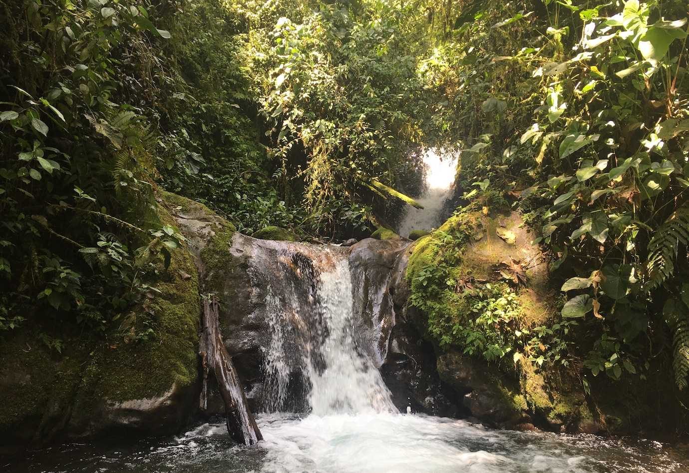 Mindo: Chocolate & Waterfalls