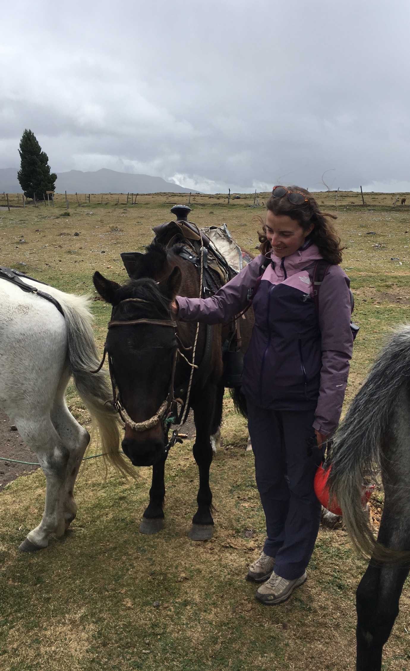 me and my horse horseriding secret garden cotopaxi