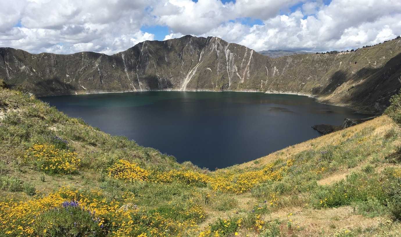 quilotoa lake wild flowers quilotoa loop