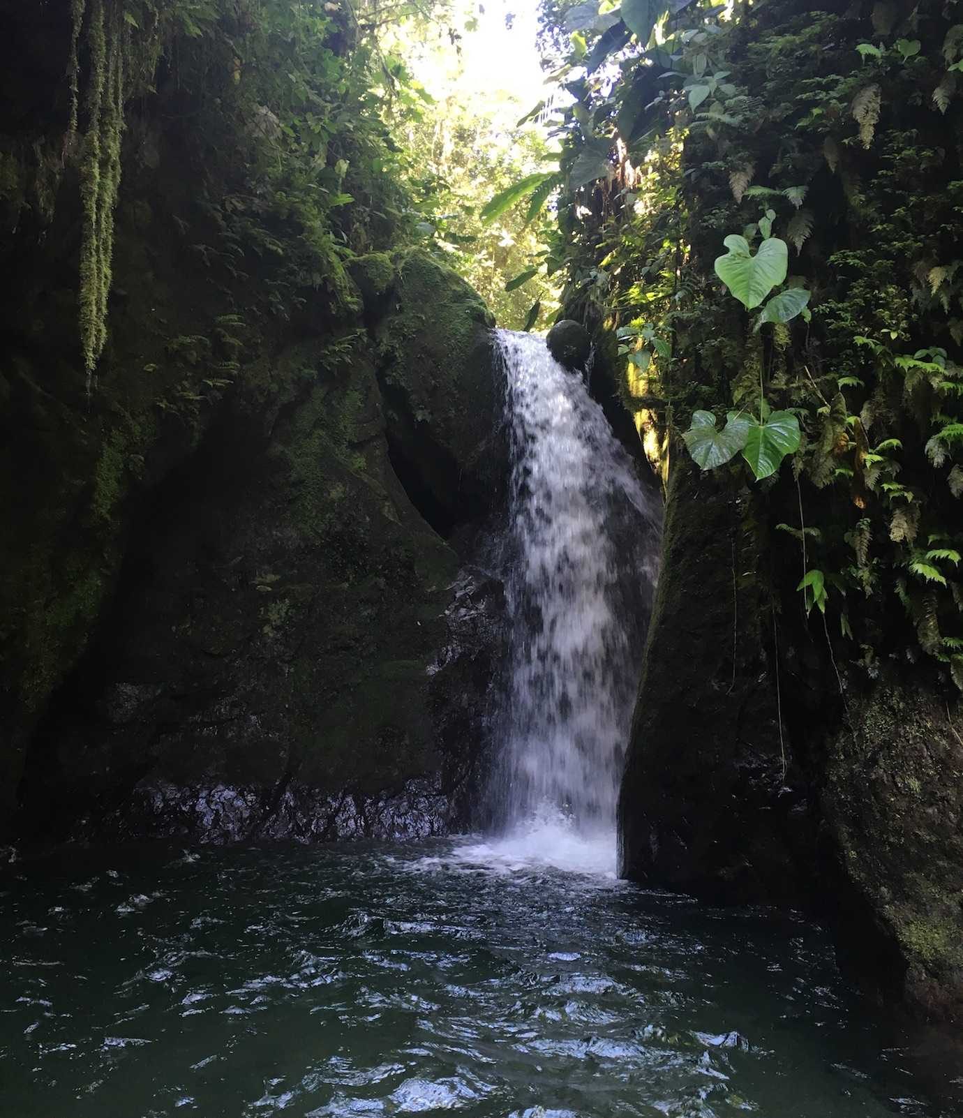 second waterfall nambillo sanctuary mindo