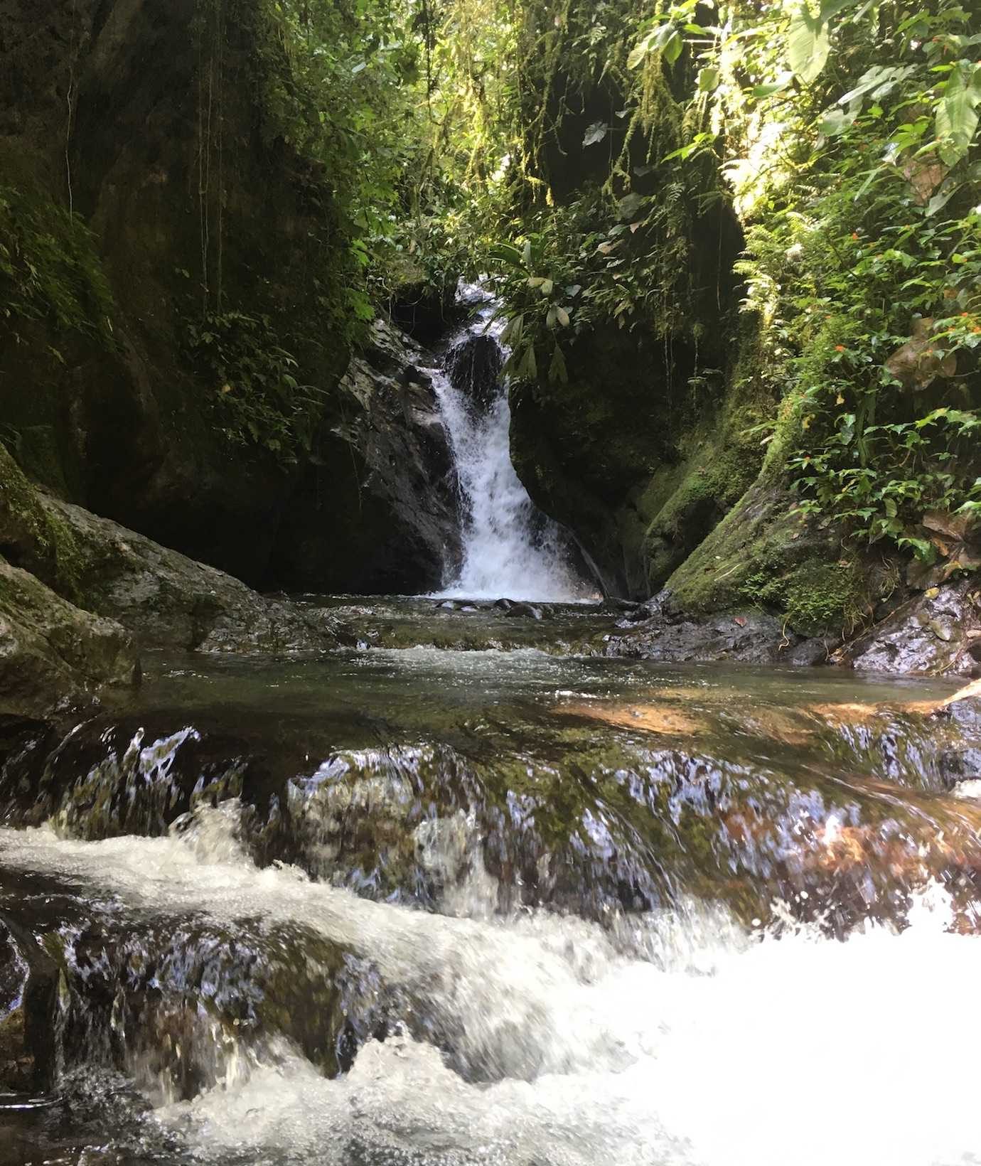 third waterfall nambillo sanctuary mindo