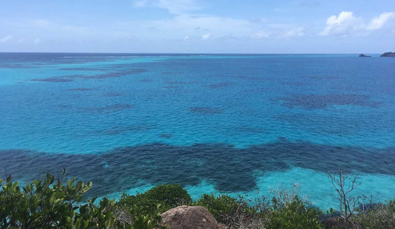 cayo cangrejo reef views providencia