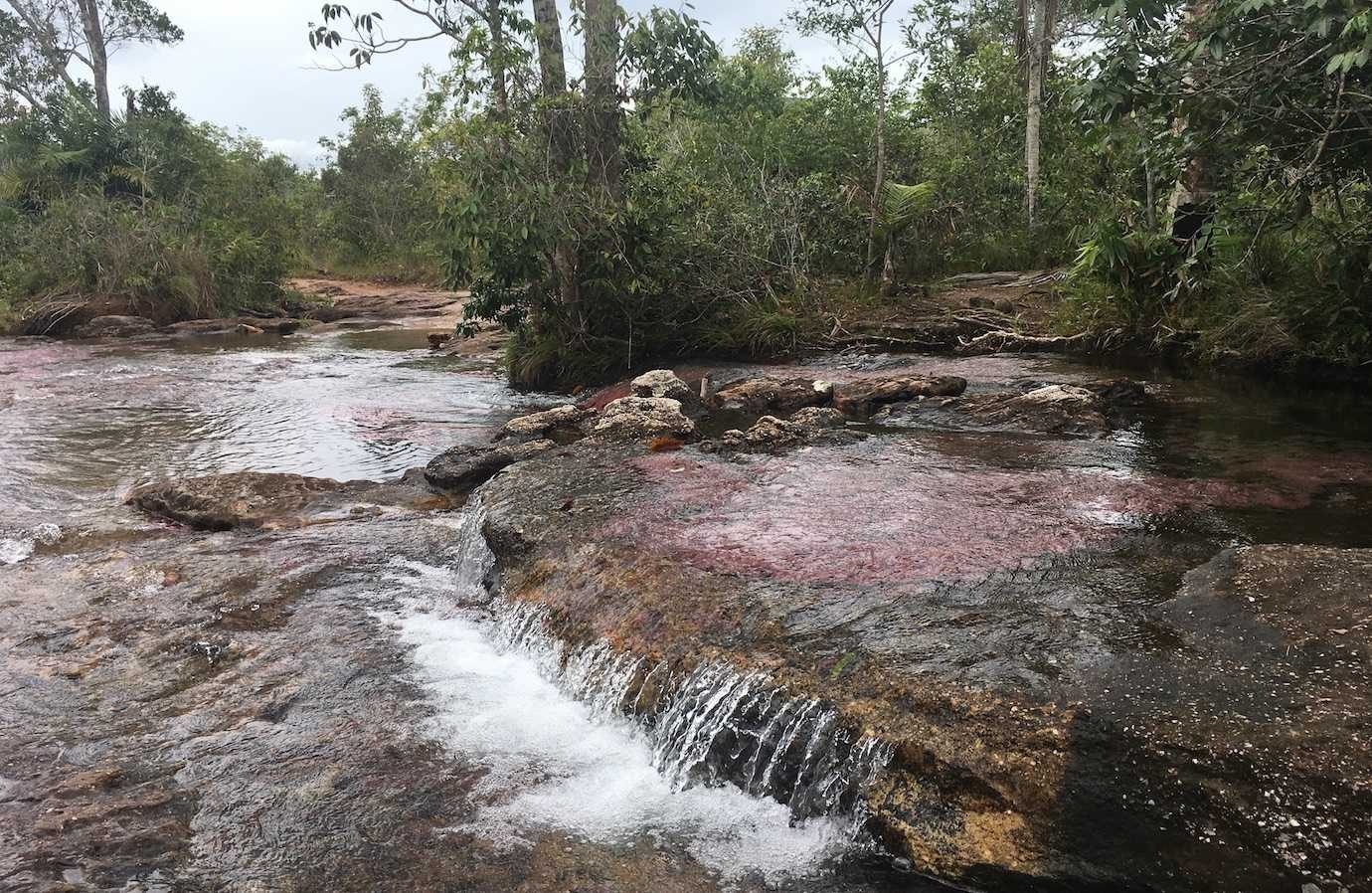 first views of cano cristales