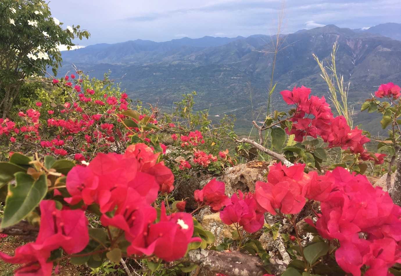 flowers and views barichara
