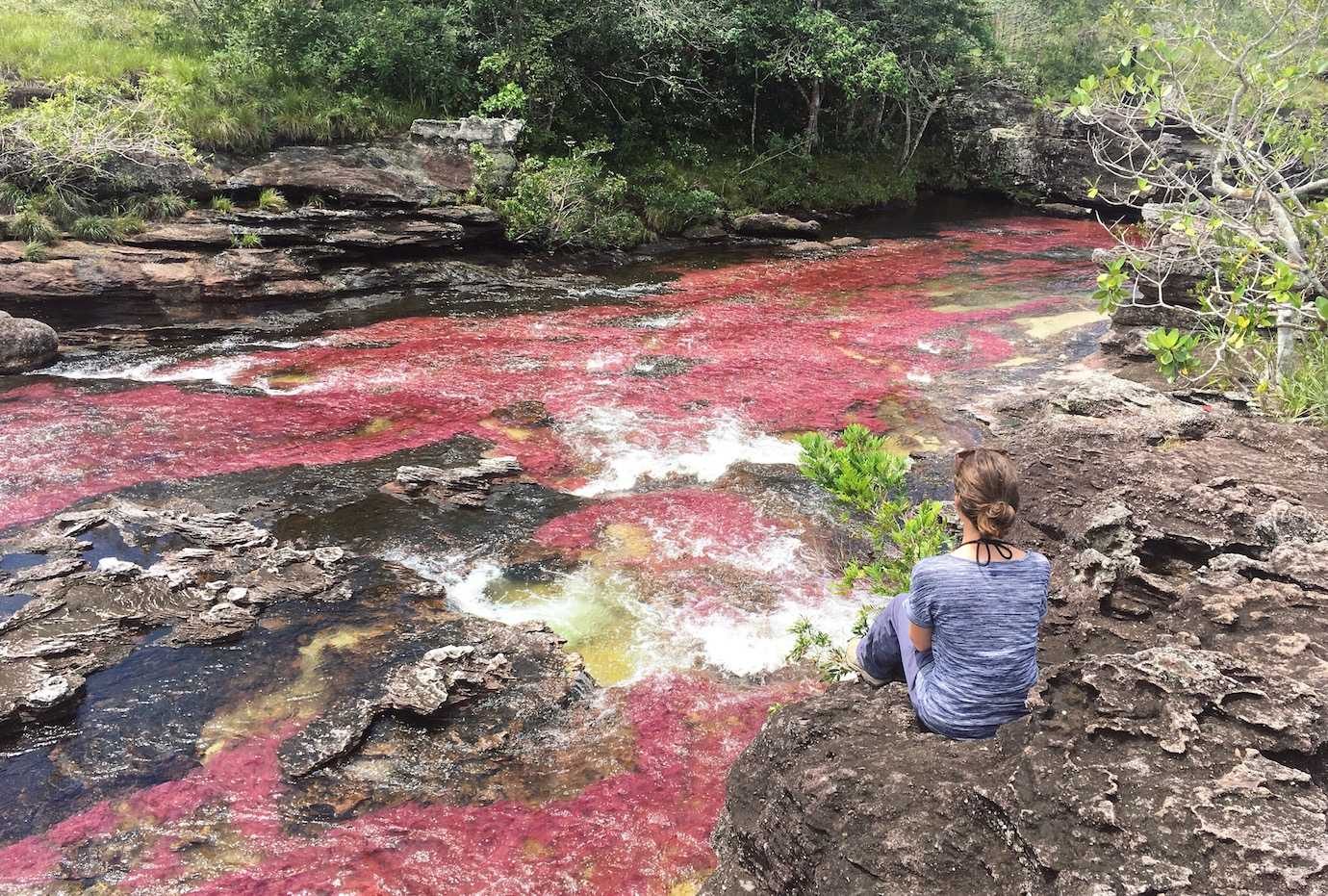 How to get to Caño Cristales by bus