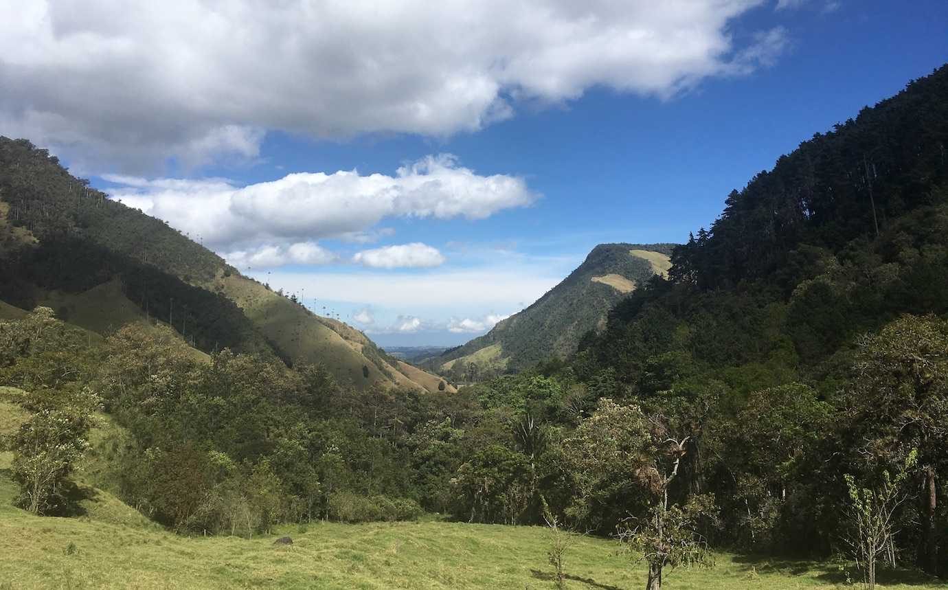 views cocora valley salento