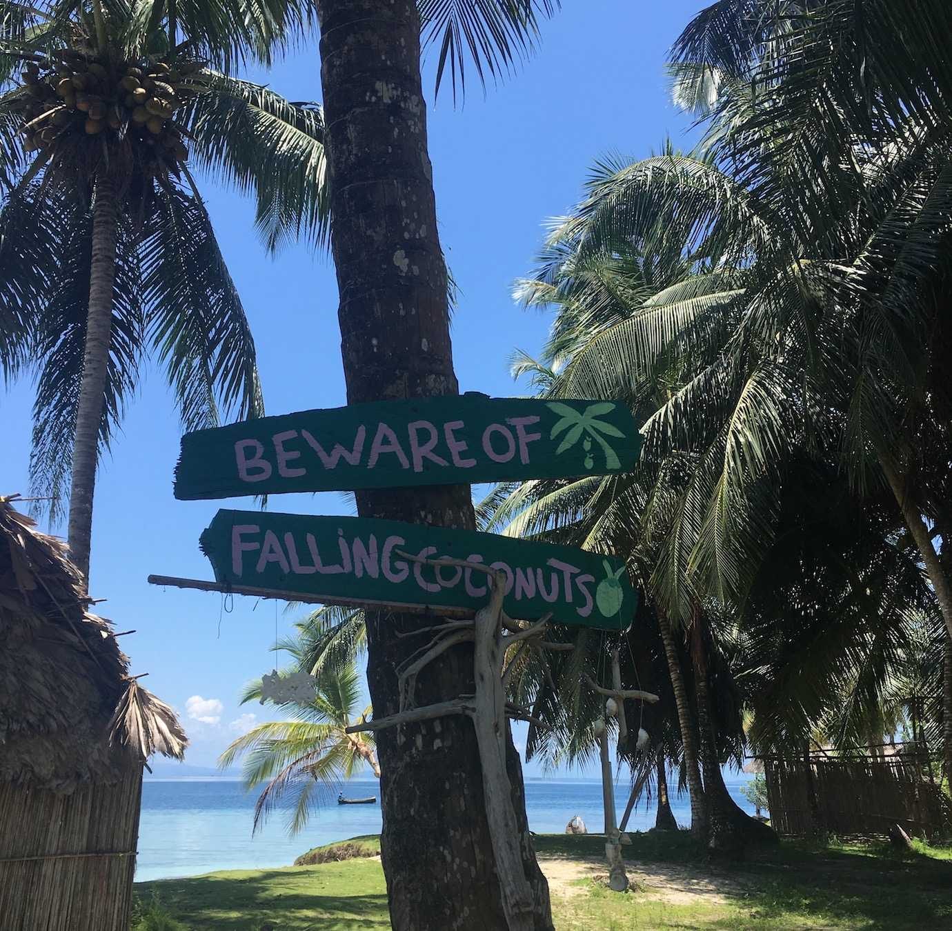 falling coconuts sign san blas islands