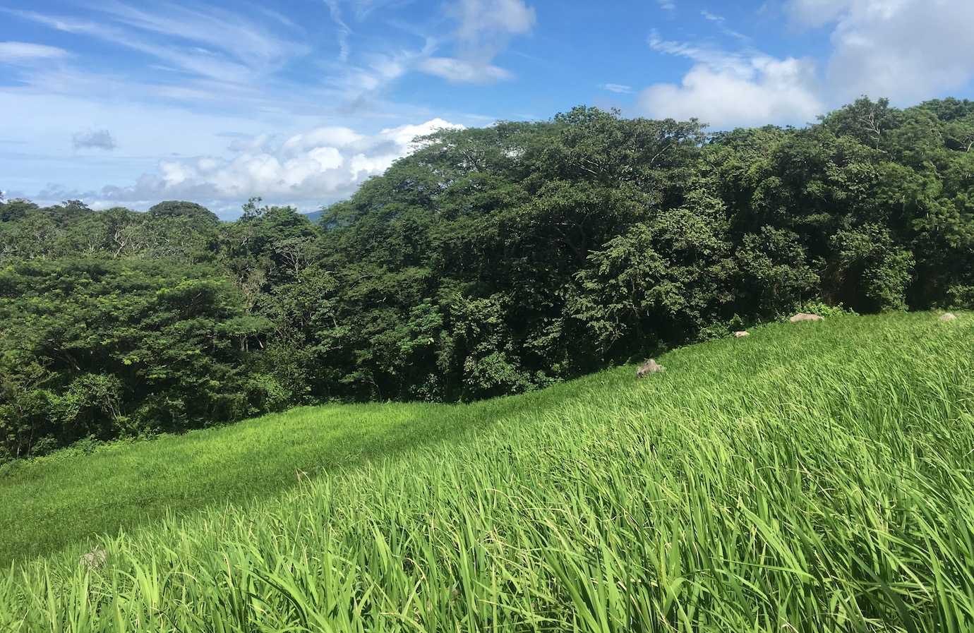 green field viewpoint hike ometepe