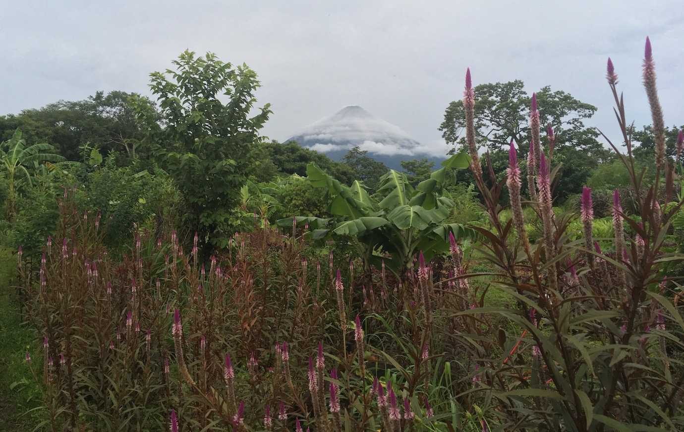 zopilote garden volcano ometepe