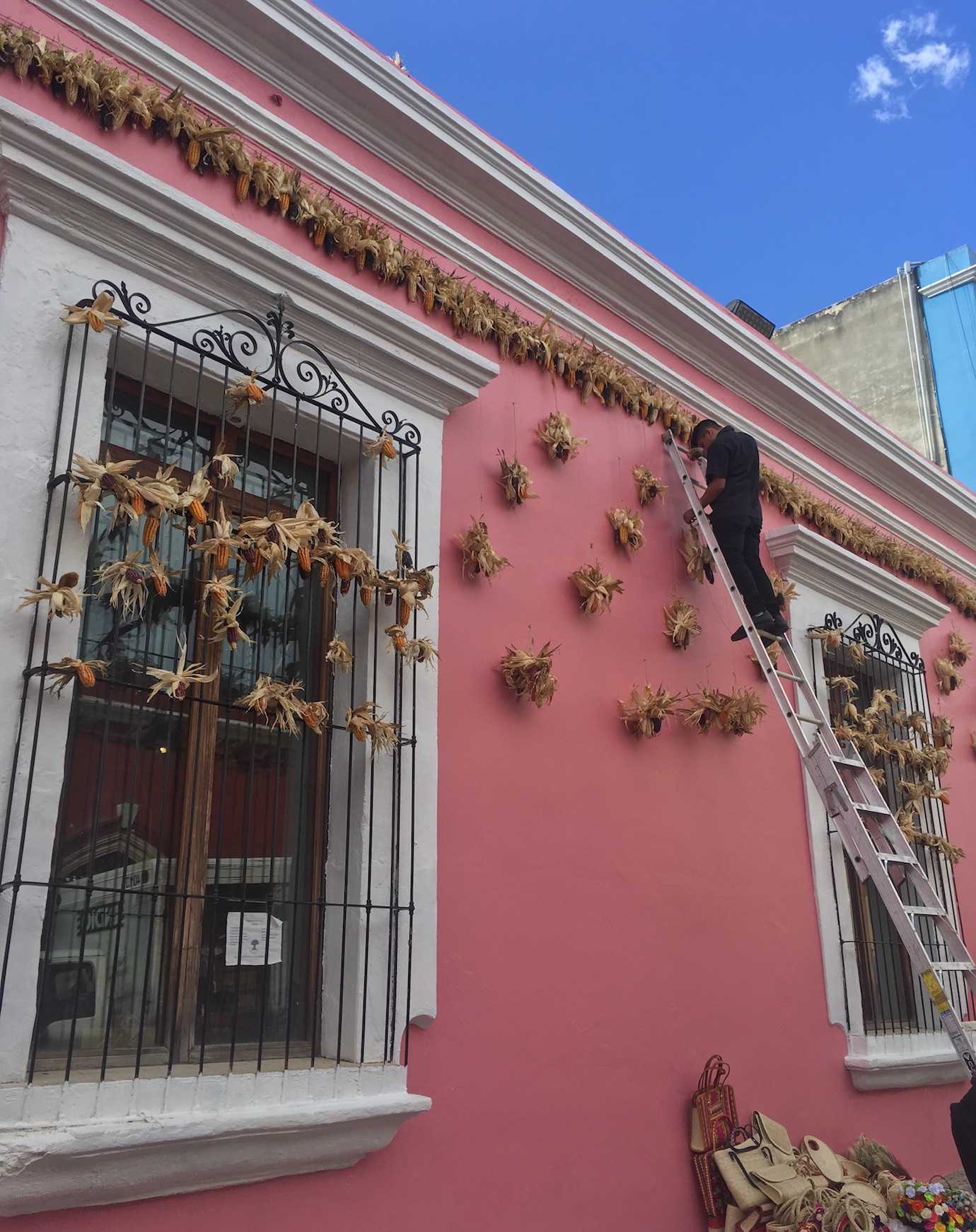 day of the dead setting up decorations corn Oaxaca