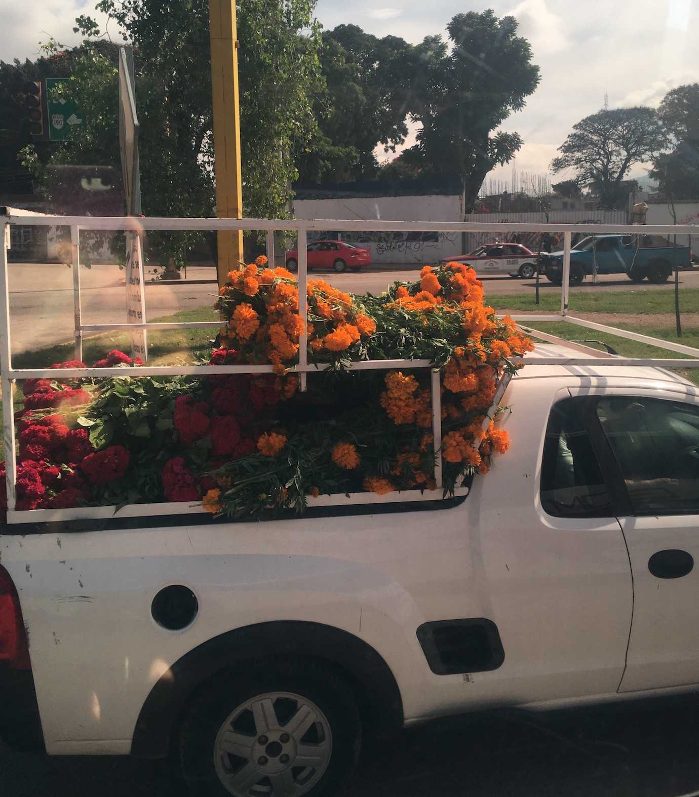 day of dead flowers back of van Oaxaca