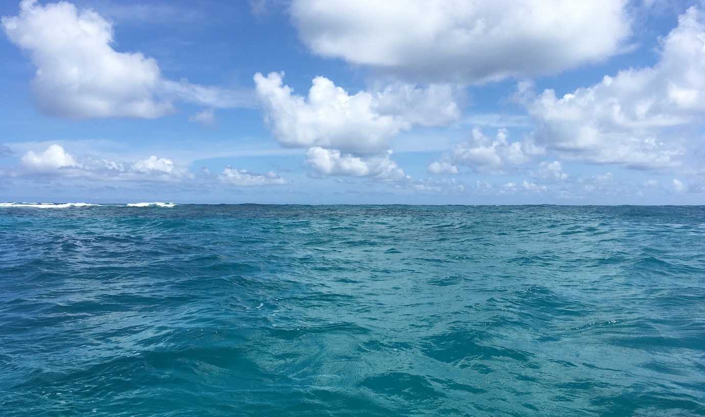 blue ocean snorkelling caye caulker