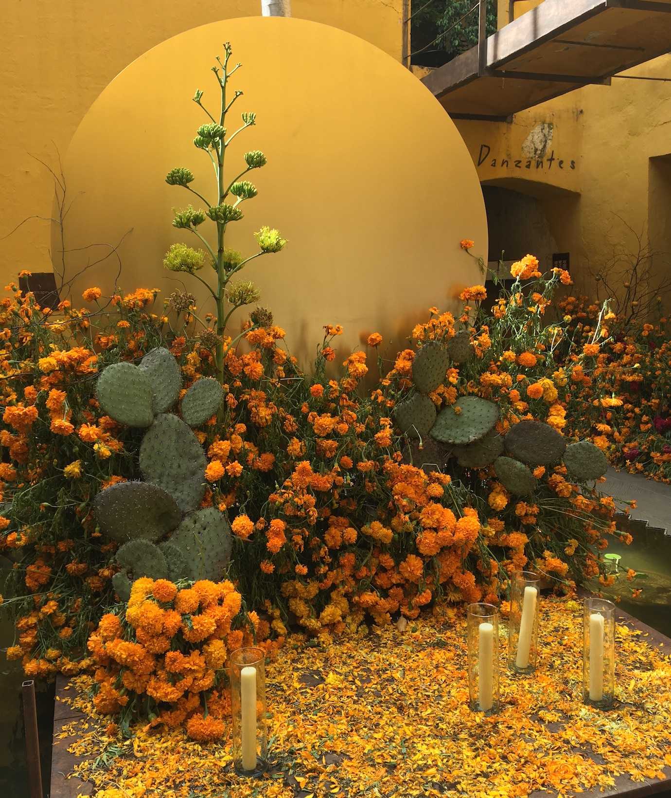 day of dead altar oaxaca