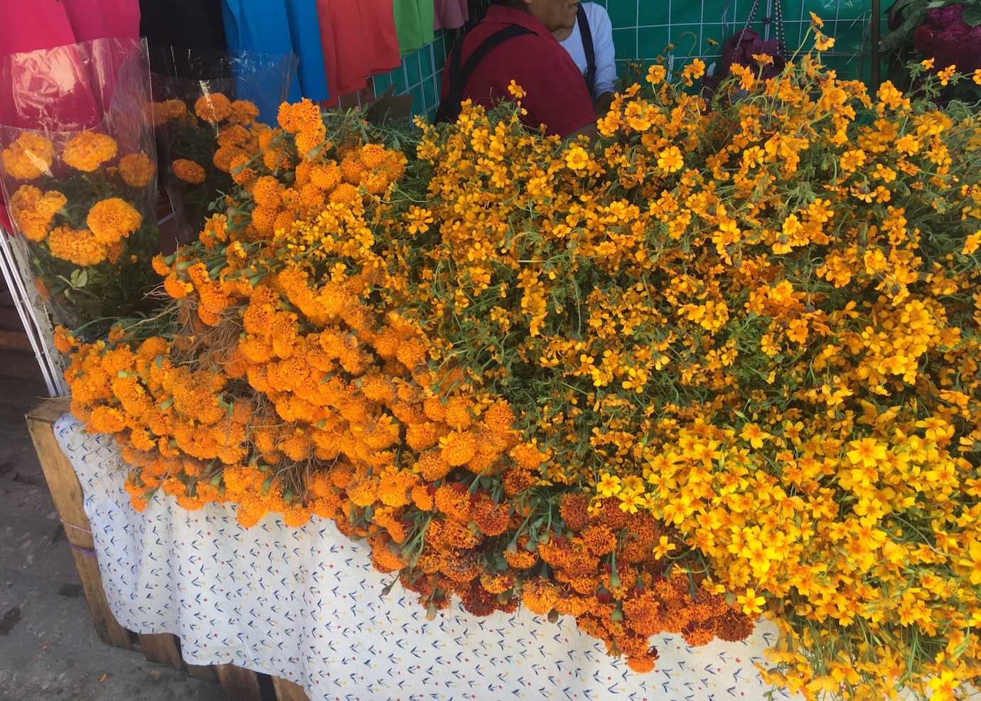 marigolds yellow flowers day of dead oaxaca