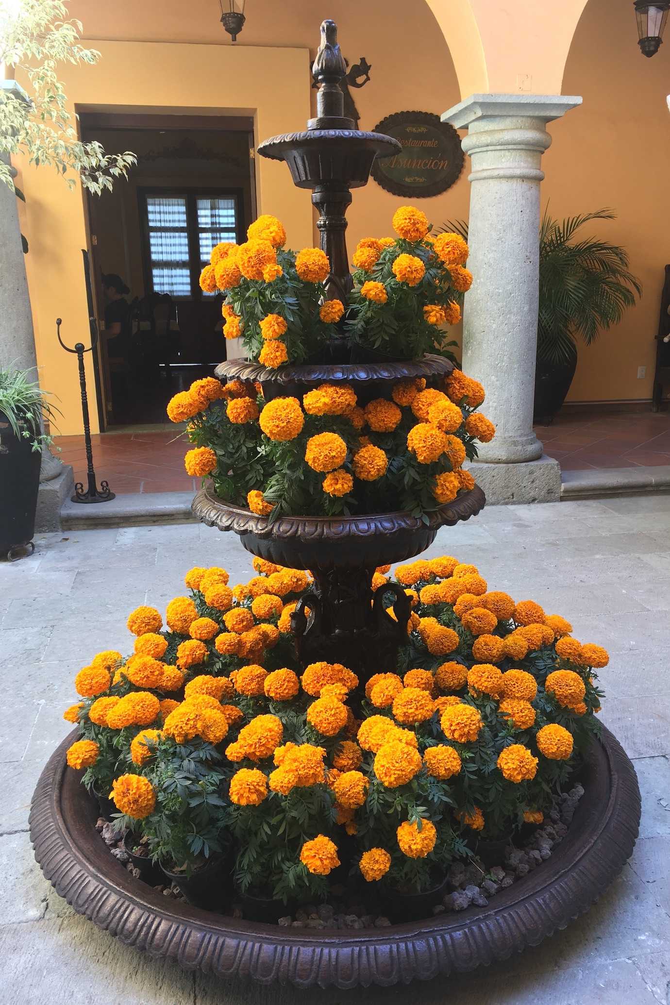 orange flowers fountain day of dead oaxaca