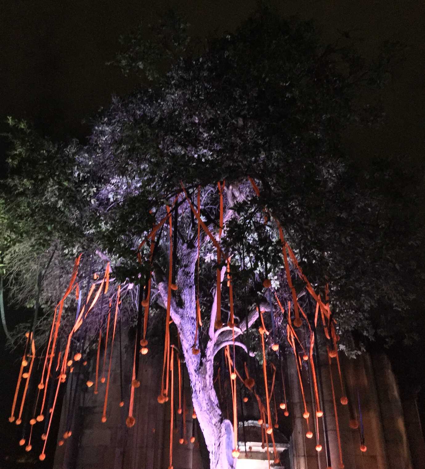 panteon cemetery tree day of the dead oaxaca