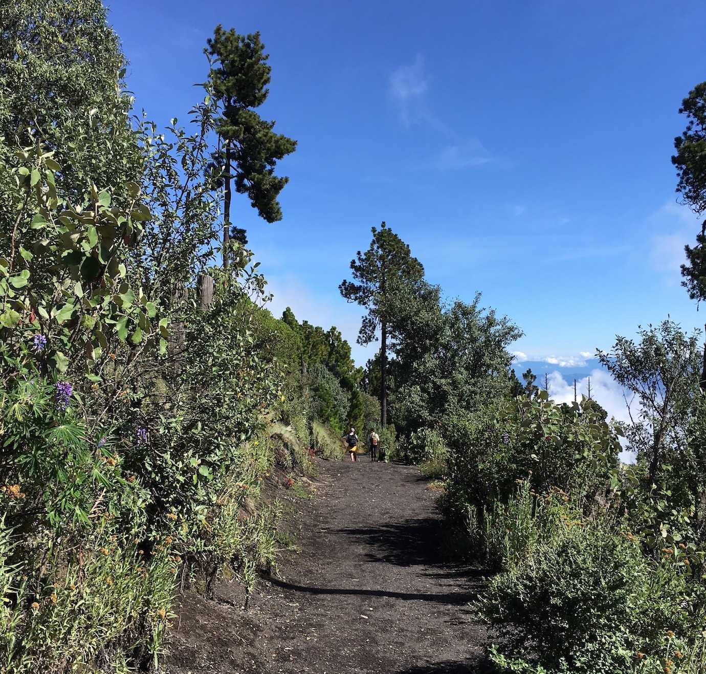 path acatenango hike