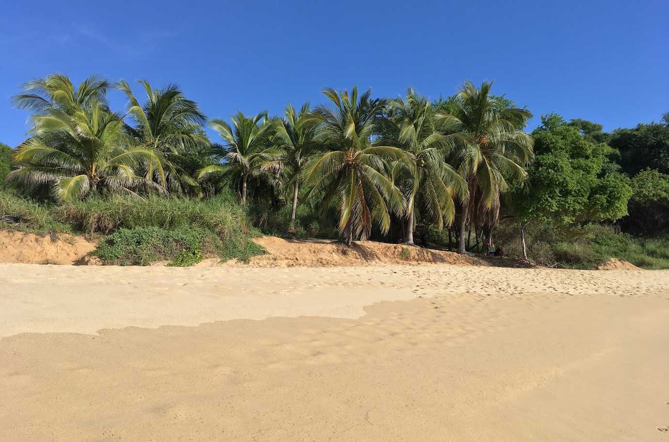 playa coral puerto escondido