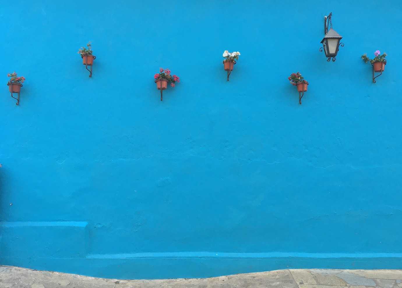 blue wall flower pots san cristobal
