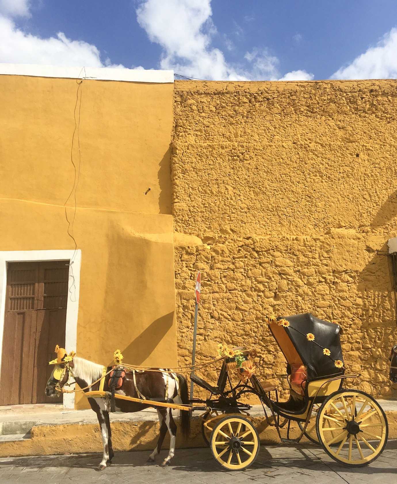 horse and carriage izamal yellow town merida
