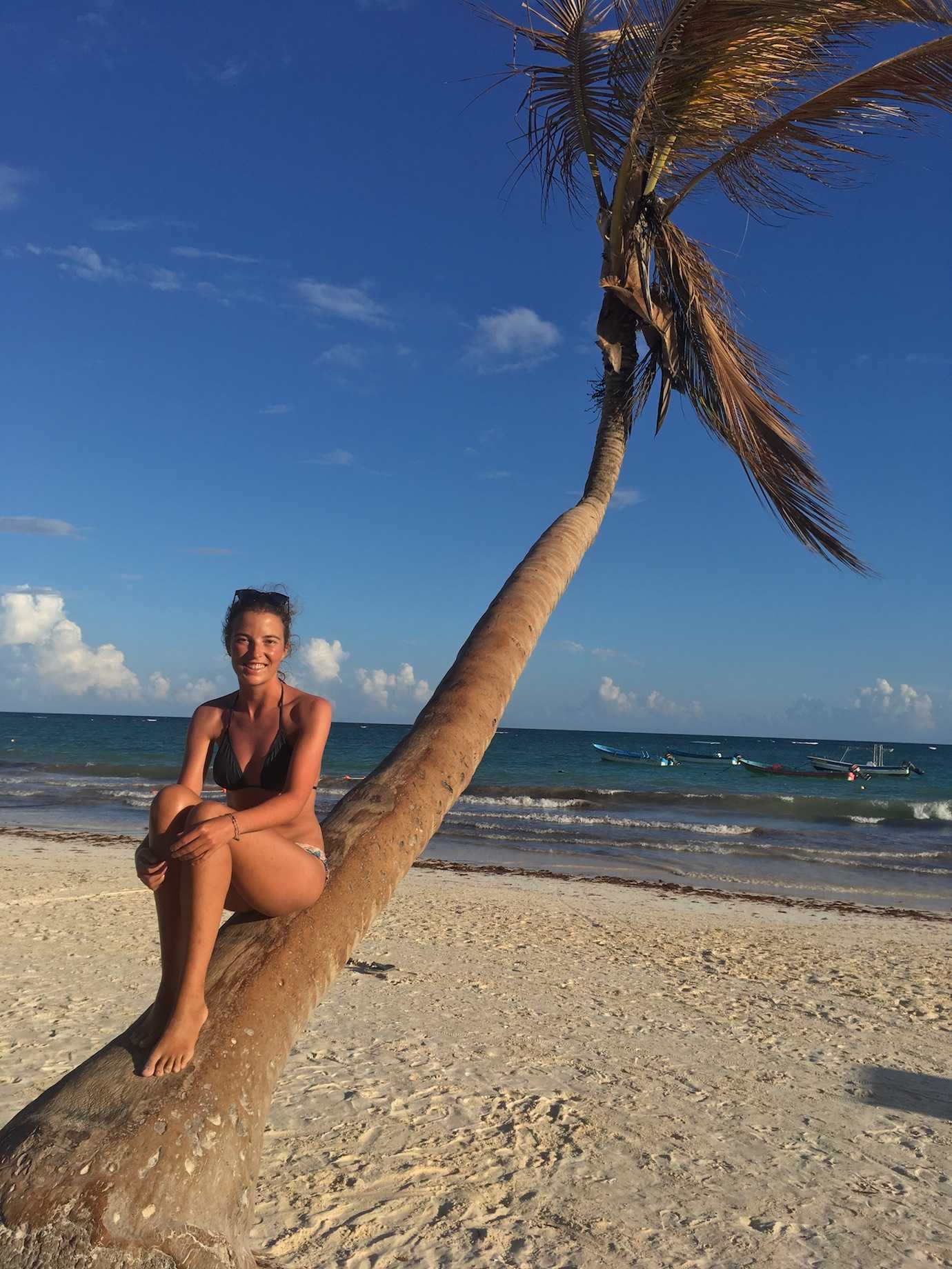 me wonky palm tree tulum beach tulum