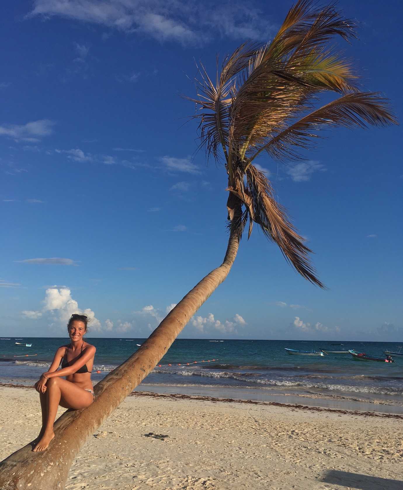 me wonky palm tree tulum beach tulum