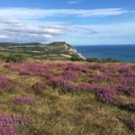 heather coastal views Charmouth holiday